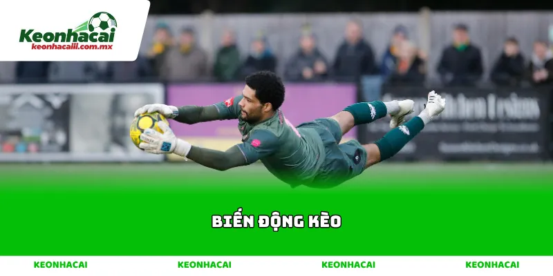 Biến động kèo