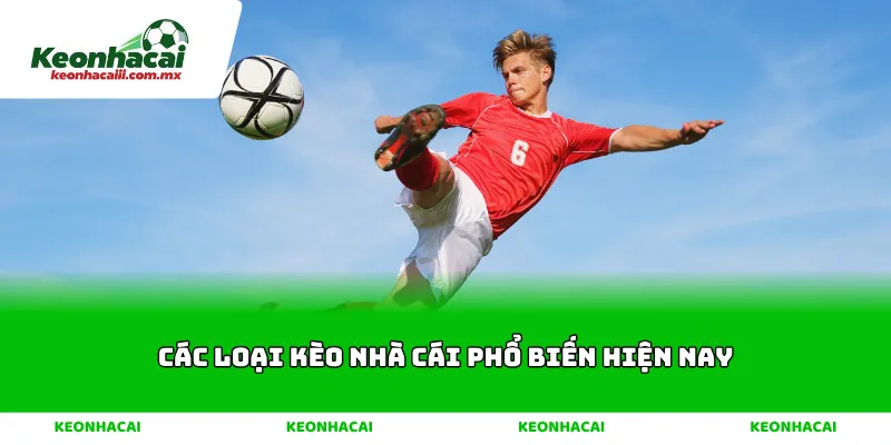 Các Loại Kèo Nhà Cái Phổ Biến Hiện Nay