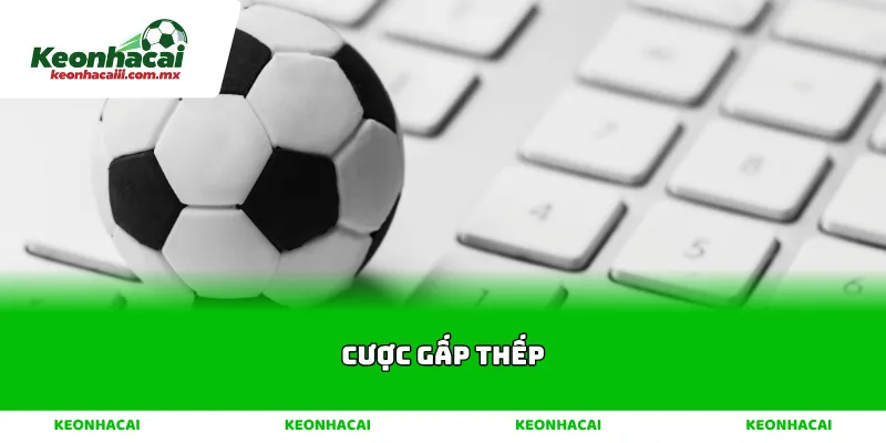 Cược gấp thếp