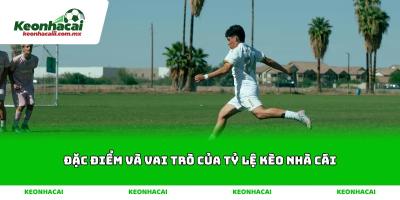 Đặc Điểm Và Vai Trò Của Tỷ Lệ Kèo Nhà Cái
